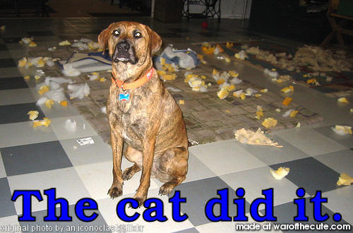 It wasn't me...