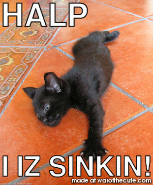 HALP I IZ SINKIN!