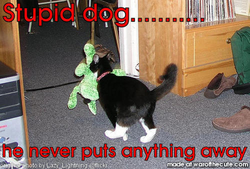 Stupid dog...........