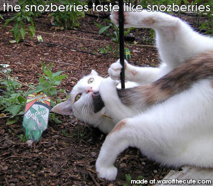 the snozberries taste like snozberries