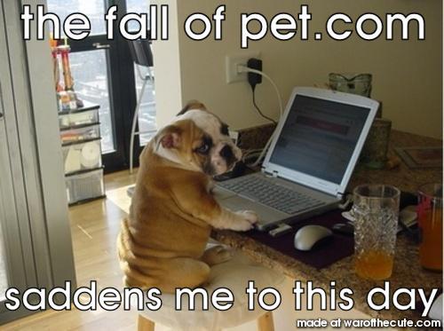 the fall of pet.com