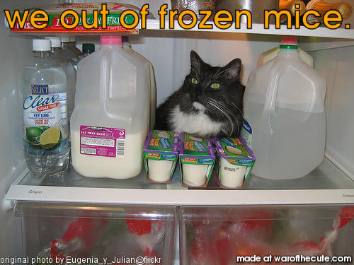 we out of frozen mice.