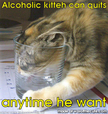 Alcoholic Kitteh