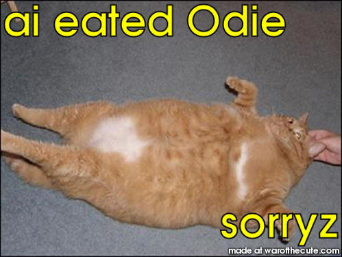 ai eated Odie