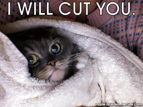 I WILL CUT YOU.