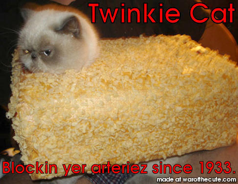 Twinkie Cat