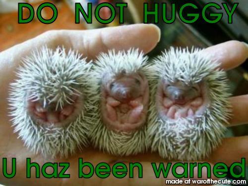 Do not huggy