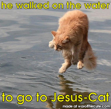 Jesus-Cat