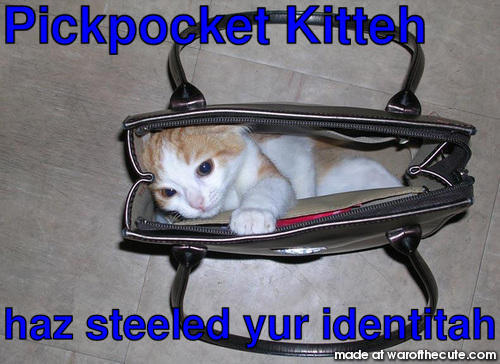 Pickpocket Kitteh