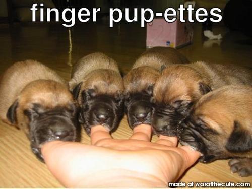 finger pup-ettes