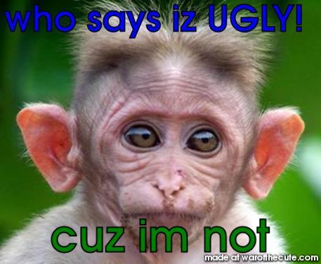 Ugly but cute monkey