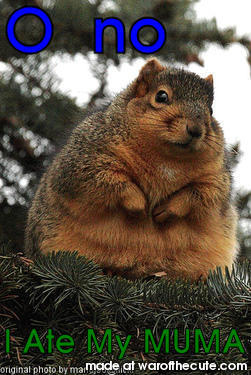 FAT SQUIRELL