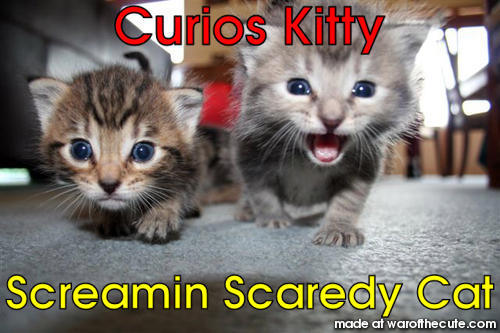 Screamin Kitty Curios Kitty