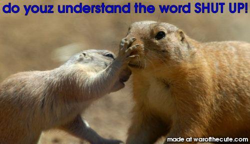 do youz understand the word SHUT UP!