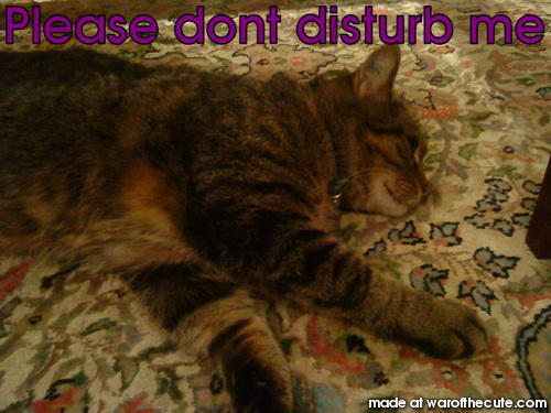 Please dont disturb me