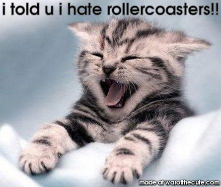 rollercoaster kitty