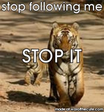 stop following me