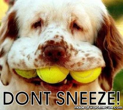 oh pleez! dont sneeze!