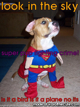 super pup