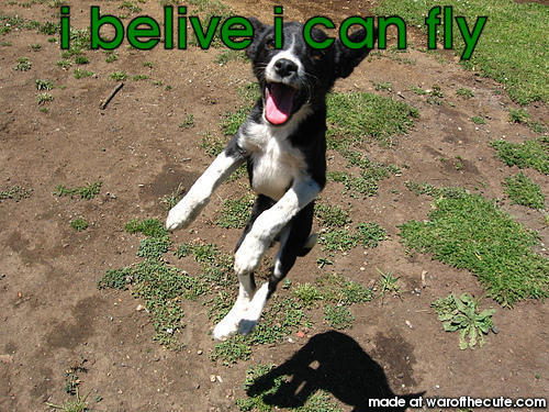 i can fly