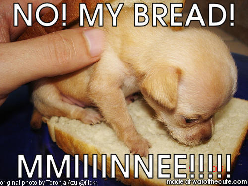 my bread