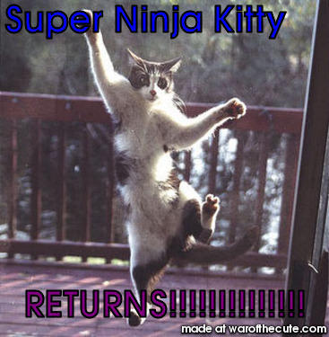 Super Ninja Kitty