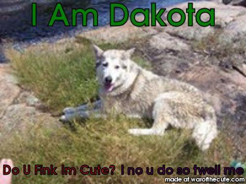 I Am Dakota