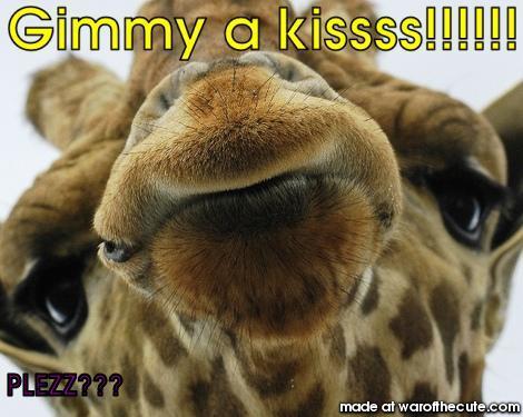 Gimmy a kissss!!!!!!