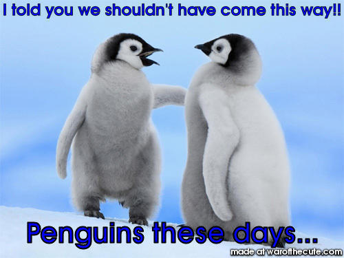 Lost penguins