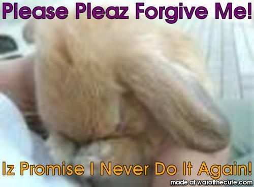 Pleaz Forgive Me!