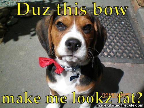 Does this bow make me look fat?