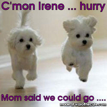 Jen & Irene Make A Break For It!