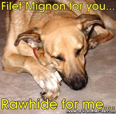 Rawhide For Me