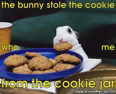 the bunny stole the cookie
