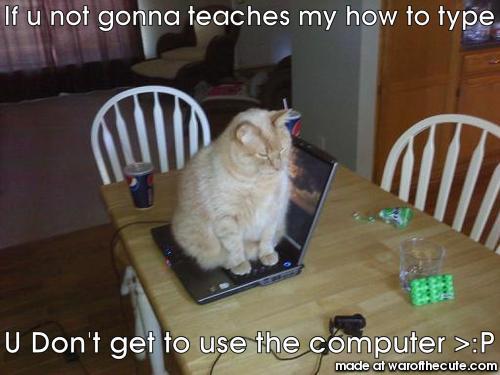 Cat Wants to Use computer!!