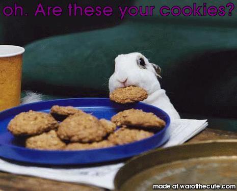 oh. Are these your cookies?