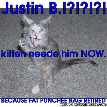 kitteh punching bag upgrade