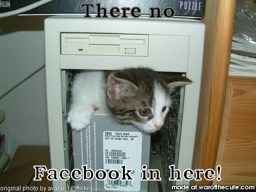 Facebook Kitty
