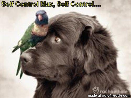 Self Control