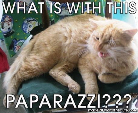 papa-paparazzi