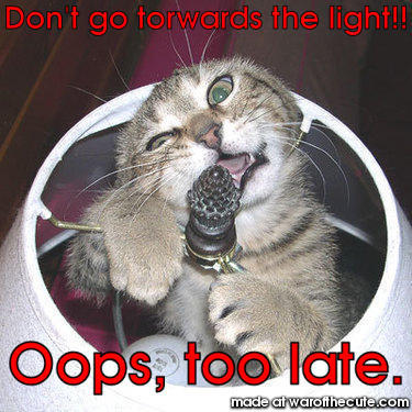 Don't go torwards the light!! 