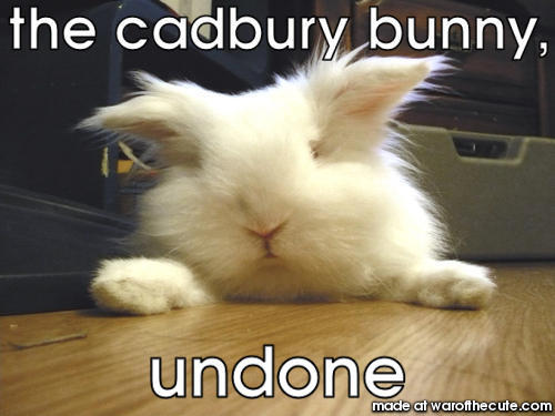 bunny, cadbury
