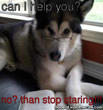 stop staring!