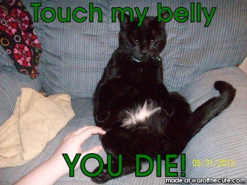 Belly Madness