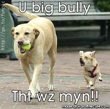 U big bully 