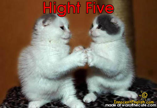 Hight Five