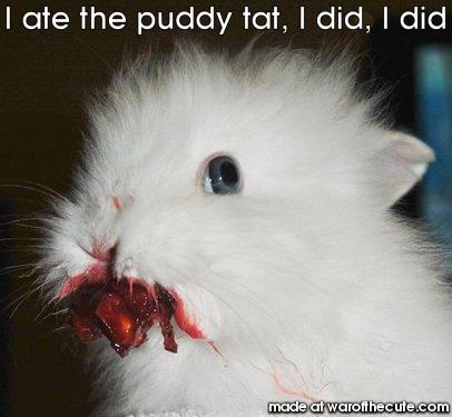 I ate the puddy tat, I did, I did