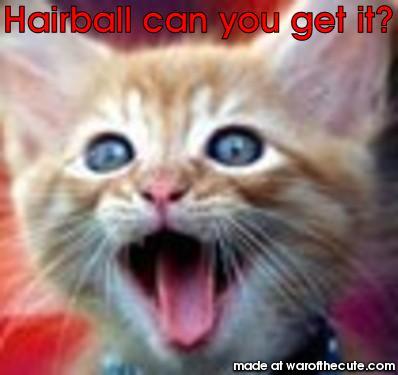 Hairball can you get it?