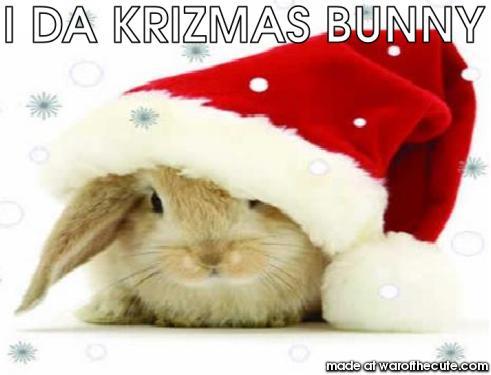 Christmas Bunny