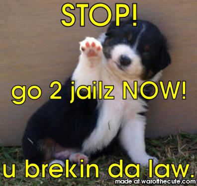 police dog